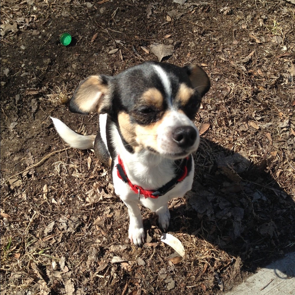 Meet your Posher, Pertra